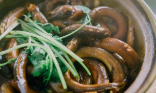 黄瓜烧鳝鱼家常做法 制作黄瓜烧鳝鱼的方法