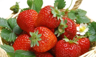 如何清洗草苺 草莓怎么清洗才干净
