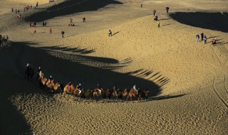 阿拉善什么意思 阿拉善的意思是