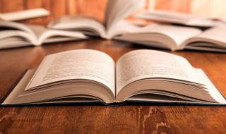 bd是什么 bd解释