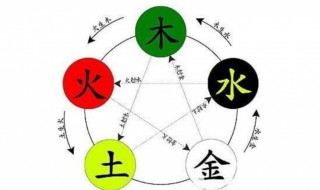 五行属木是什么意思 五行属木含义介绍