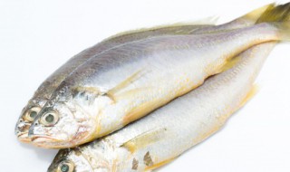 糖酷鲤鱼制作方法 糖酷鲤鱼的制作方法