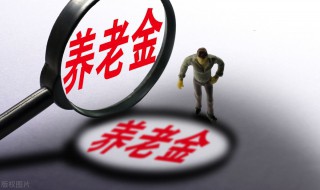 自由职业的人怎么去交养老保险 自由职业的人如何去交养老保险