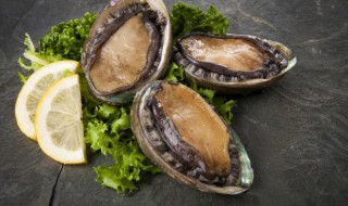 九头鲍是啥意思啊 九头鲍的解释