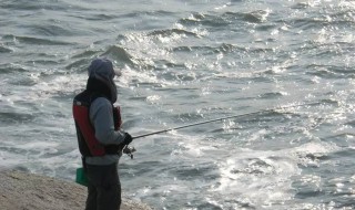 海钓鲈鱼有什么技巧 海钓鲈鱼方法