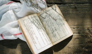 郑渊洁作品 郑渊洁作品有哪些