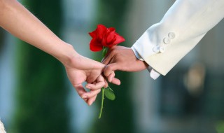 十九朵玫瑰代表什么 十九朵玫瑰的意思