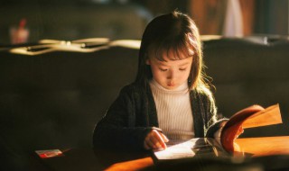 我们仨内容简介 关于我们仨内容简介