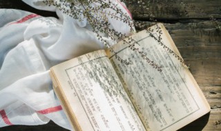 两小儿辩日的正确停顿方法 两小儿辩日怎么停顿