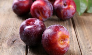 李子酒的酿制方法 李子酒的酿制方法是什么