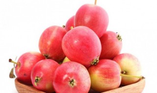 海棠果酿酒方法 海棠果怎么酿酒