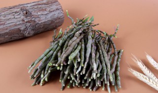 铁皮石斛养殖方法 铁皮石斛怎么养