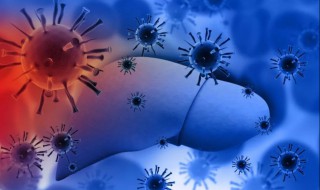 HBV什么意思 HBV简单介绍