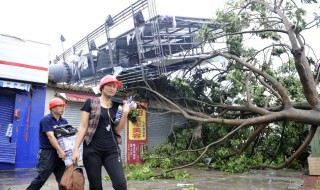 台风天兔是哪一年哪月 关于台风天兔的介绍