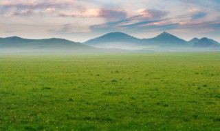 绿草如茵是什么意思 绿草如茵是啥意思