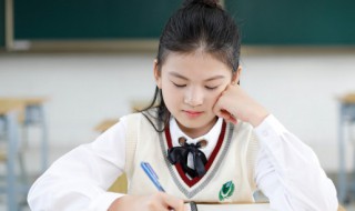 元首是什么意思 元首是啥意思