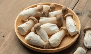 炸杏鲍菇的做法 炸美味杏鲍菇的做法