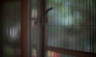 如何清洁纱窗 纱窗家常清洗方法分享