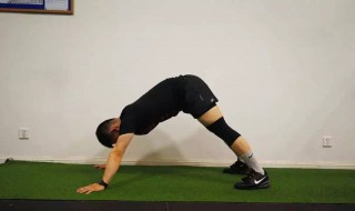 跪姿俯卧撑的正确做法 跪姿俯卧撑做法