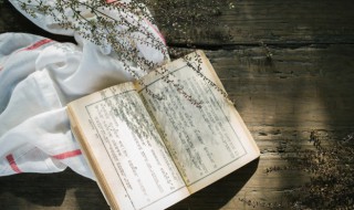 娜拉是什么意思 娜拉具体是什么意思