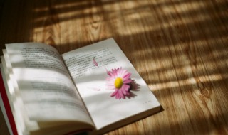 资深是什么意思 资深有几种意思