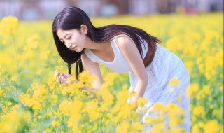 倩影是什么意思 你知道什么是倩影吗