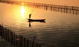 泛舟是什么意思 泛舟出处