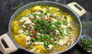 四川藤椒鱼的正宗做法 藤椒鱼怎么做