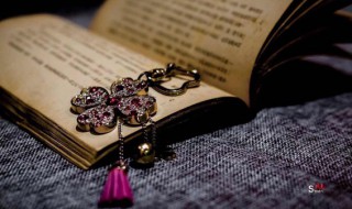 声名鹊起什么意思 声名鹊起的意思