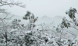 风雪载途的意思 风雪载途造句