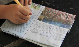 致的意思 致汉字介绍