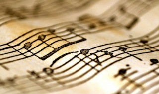 酒家歌词 酒家歌词介绍