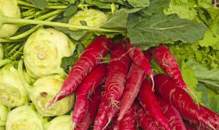 红萝卜怎样储存 胡萝卜家族保存方法分享