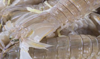 虾怎样储存 虾怎如何储存