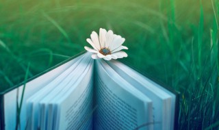 四川中考满分多少分 四川中考满分分数