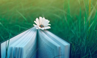 端阳是什么意思 端阳解释