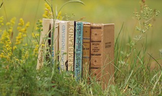 尧的意思 尧的解释