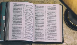 二级护理是什么意思 二级护理解释