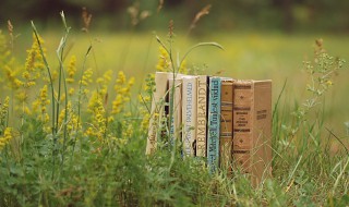 伺机的意思 伺机的解释