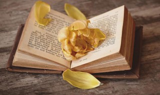 成数是什么意思 成数解释