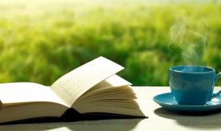 壮举的举是什么意思 壮举的举解释