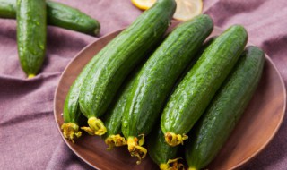 怎样储存黄瓜 如何保存黄瓜