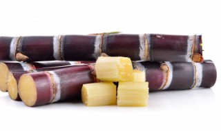 怎样储存甘蔗 如何保存甘蔗