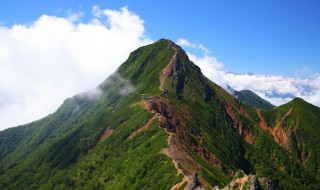 关于凤凰山的资料 凤凰山简介