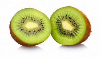 关于猕猴桃的资料 猕猴桃的简介