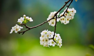 关于春夏秋冬的资料 春夏秋冬的相关知识