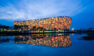 关于鸟巢的资料 鸟巢的信息