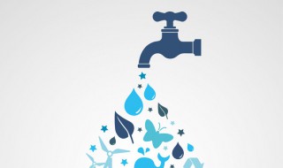 关于水源的资料 关于水源的资料是什么呢