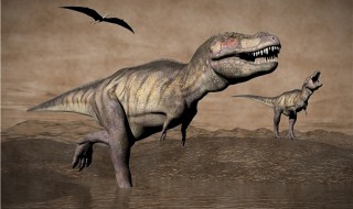 关于恐龙的种类资料 常见恐龙种类有哪些