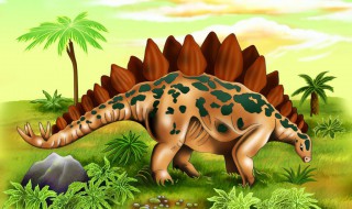 关于剑龙的资料 剑龙长什么样子